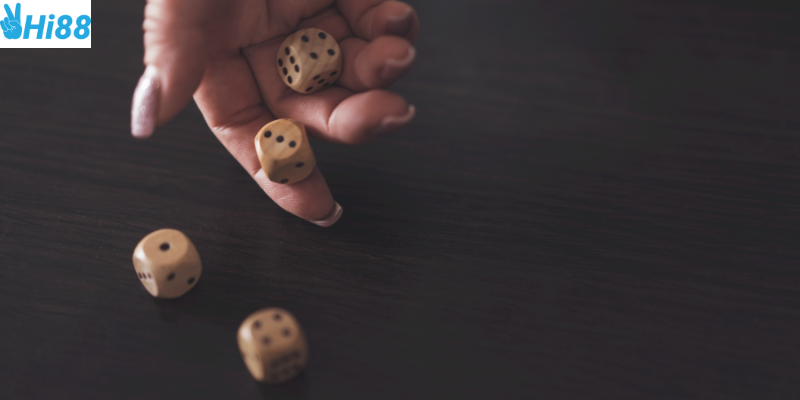 Cài đặt nhanh chóng và sử dụng hợp lý