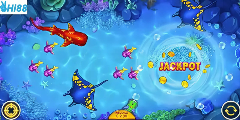 Hiểu rõ các loại cá và cách để thu thập nhiều điểm thưởng