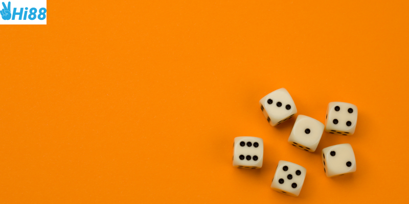 Nắm vững các hình thức cược và quản lý vốn hiệu quả