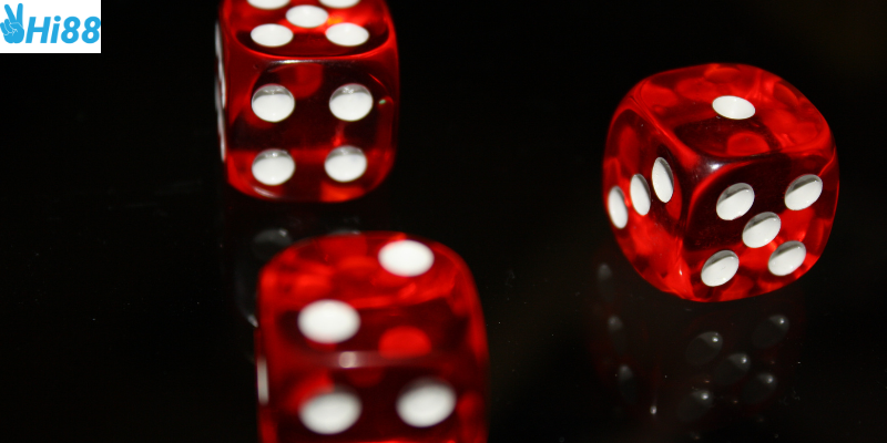 Tỷ lệ cược và cách tận dụng để thắng lớn