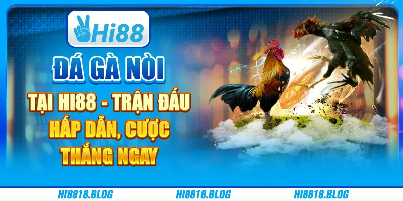 Đá Gà Nòi Tại Hi88 - Trận Đấu Hấp Dẫn, Cược Thắng Ngay